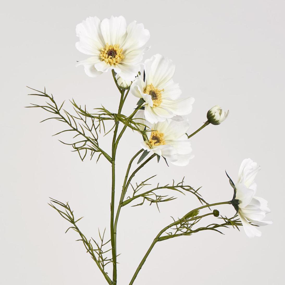 Cosmos Spray 64cm White 12 pcs