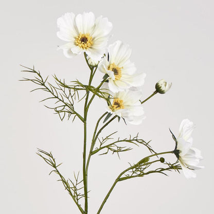 Cosmos Spray 64cm White 12 pcs