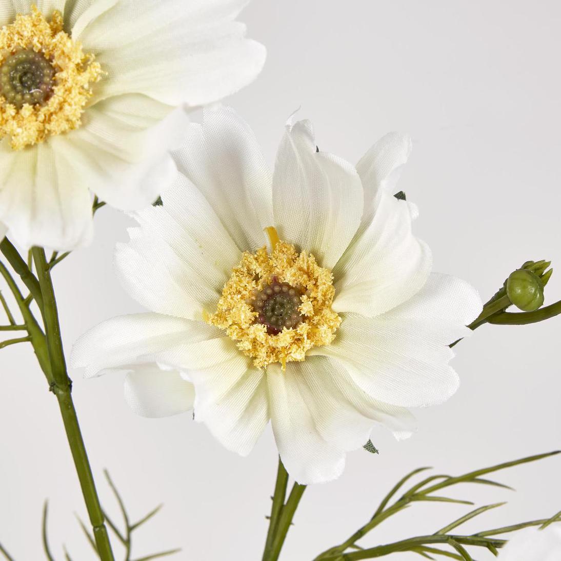 Cosmos Spray 64cm White 12 pcs