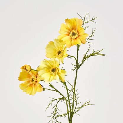 Cosmos Spray 64cm Yellow 12 pcs