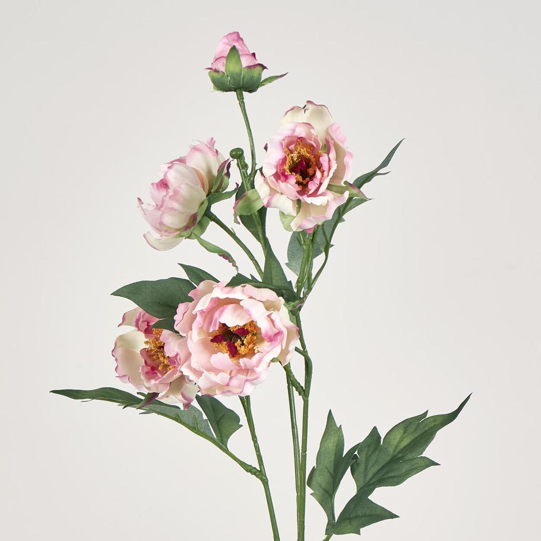 Peony Spray 64cm Pink 12 pcs