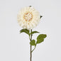 Single Ball Dahlia 74cm Cream 6 pcs