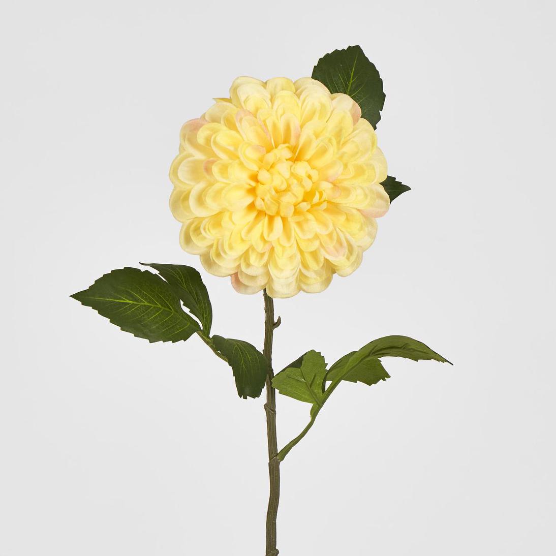 Single Ball Dahlia 74cm Yellow 6 pcs