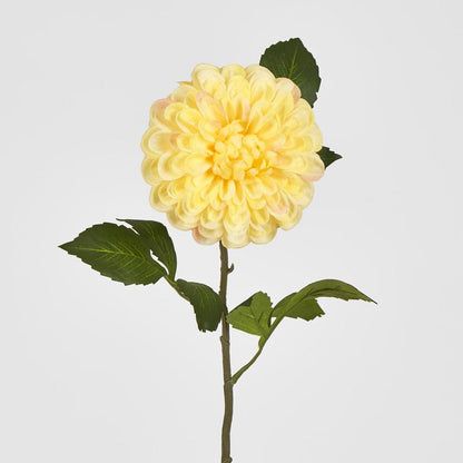 Single Ball Dahlia 74cm Yellow 6 pcs
