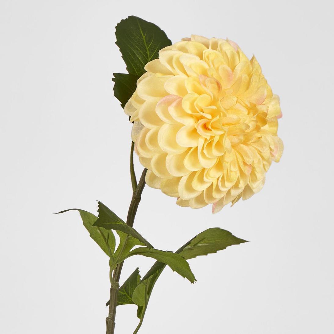 Single Ball Dahlia 74cm Yellow 6 pcs