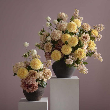 Single Ball Dahlia 74cm Yellow 6 pcs