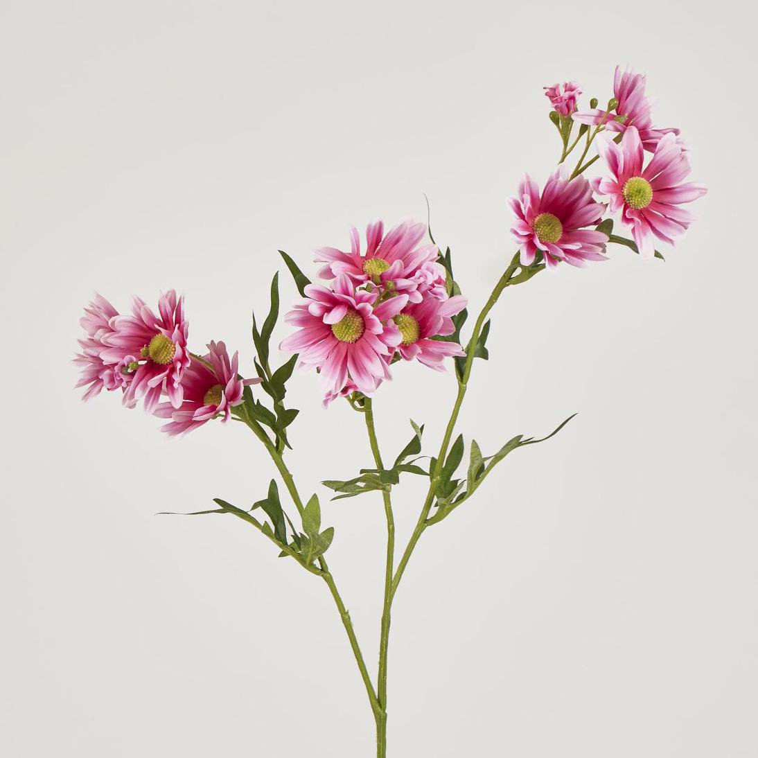 Daisy Spray 74cm Pink 12 pcs