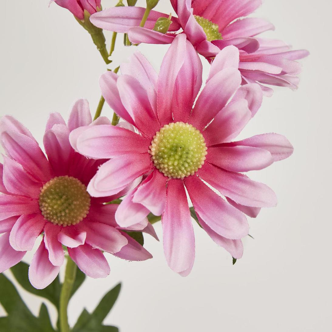 Daisy Spray 74cm Pink 12 pcs