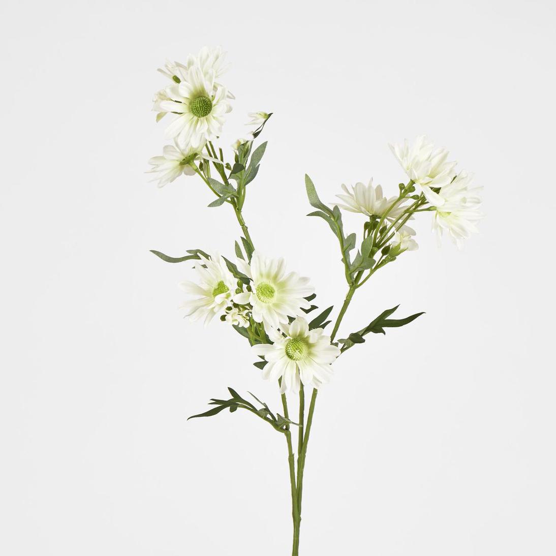 Daisy Spray 74cm White 12 pcs