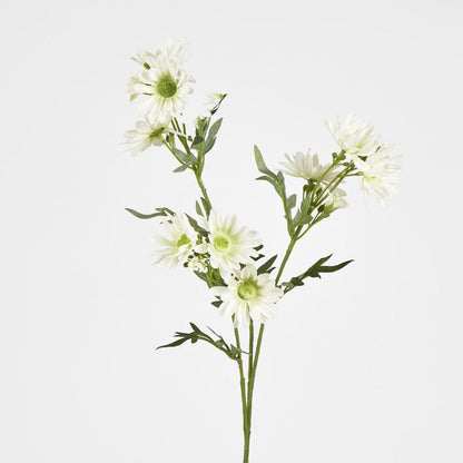 Daisy Spray 74cm White 12 pcs