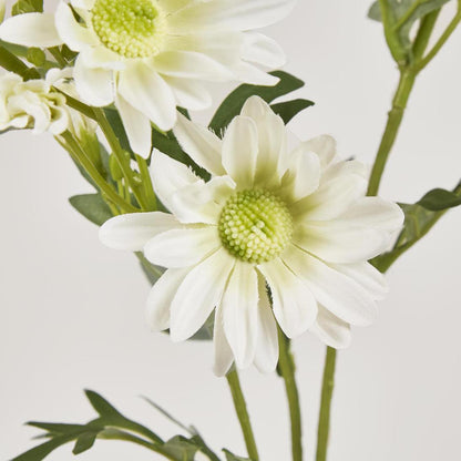 Daisy Spray 74cm White 12 pcs
