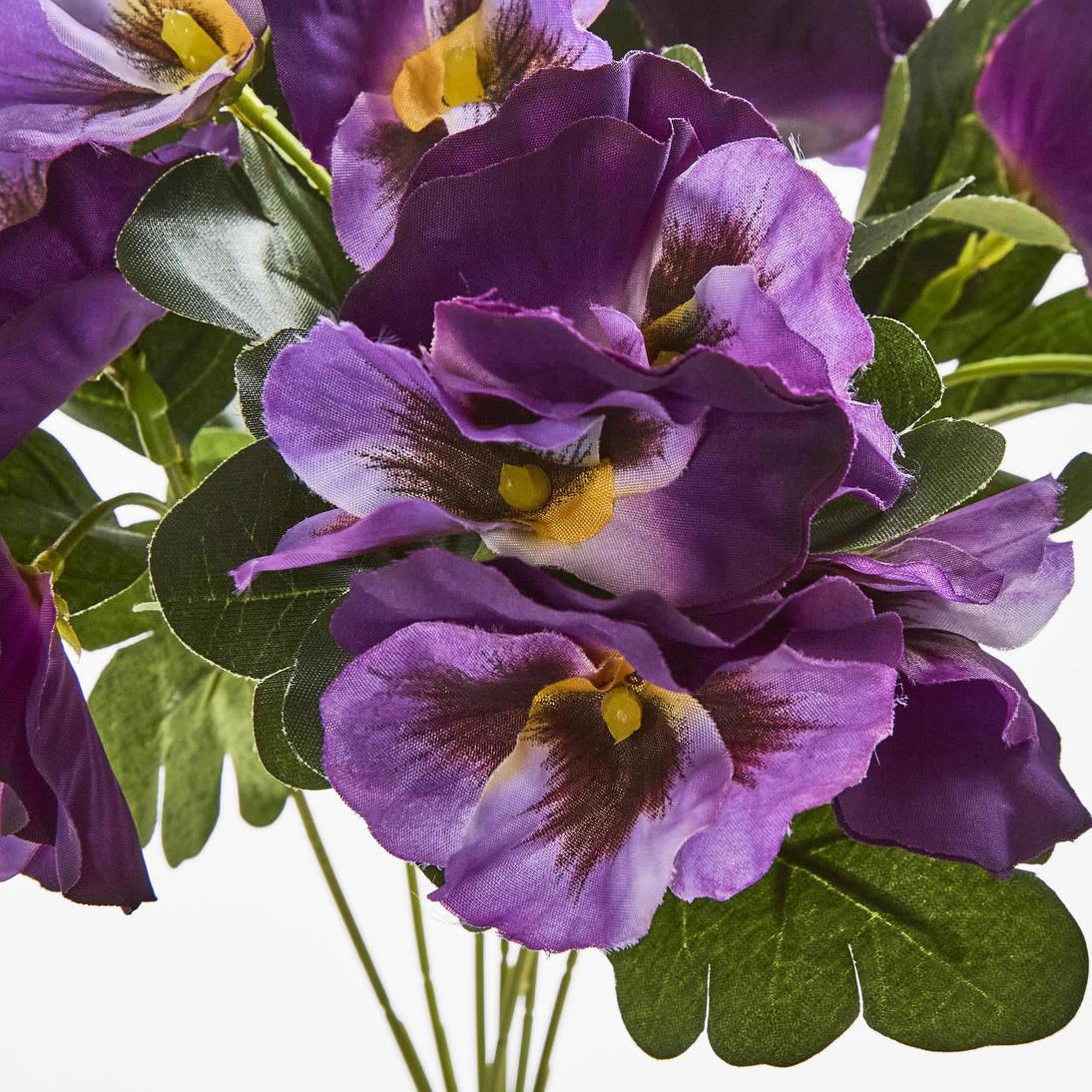 Pansy Bush 32cm Purple 12 pcs