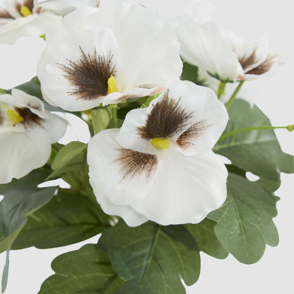White Pansy Bush 32cm 12 pcs