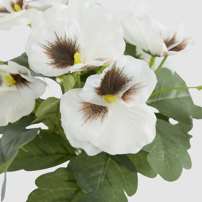 White Pansy Bush 32cm 12 pcs