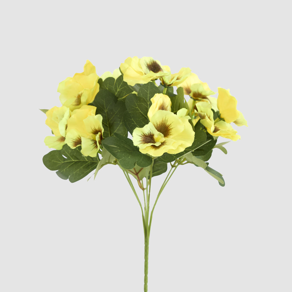 Yellow Pansy Bush 32cm 12 pcs