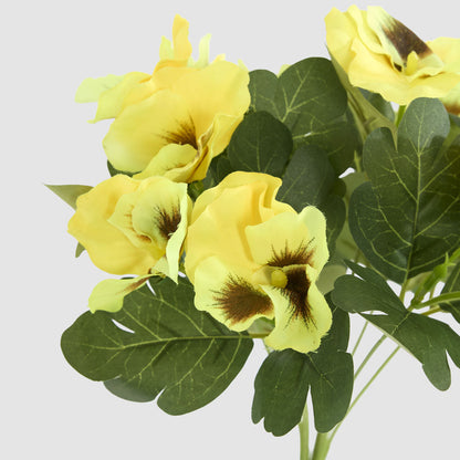 Yellow Pansy Bush 32cm 12 pcs