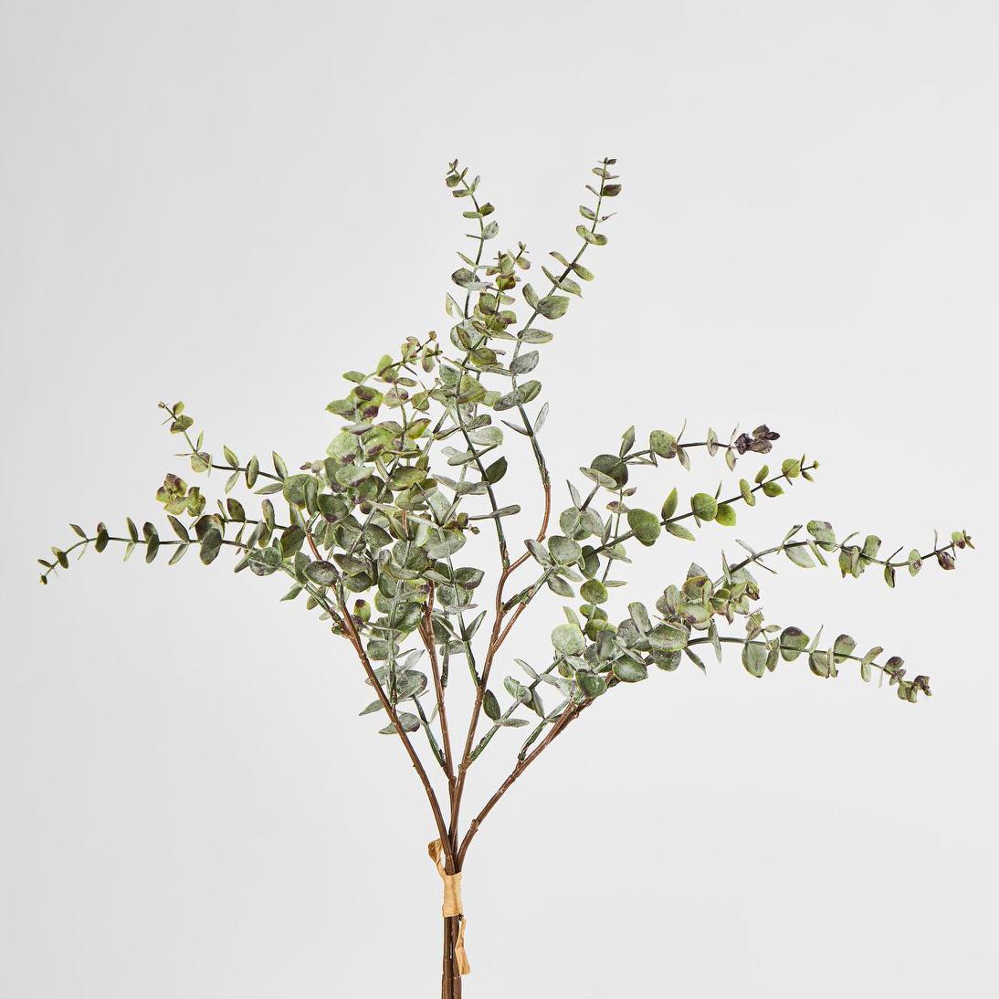 Eucalyptus Bundle 4pce 24 pcs