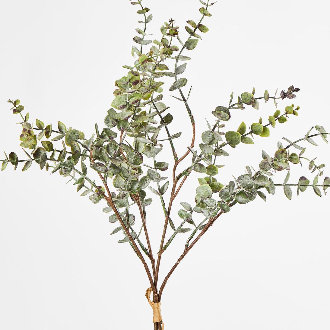Eucalyptus Bundle 4pce 24 pcs