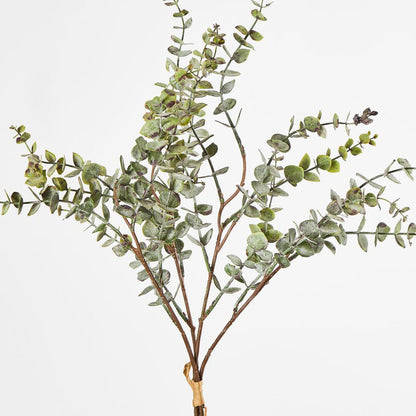 Eucalyptus Bundle 4pce 24 pcs