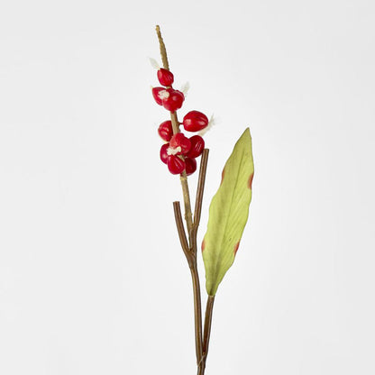 Shell Ginger 70cm Red 4 pcs