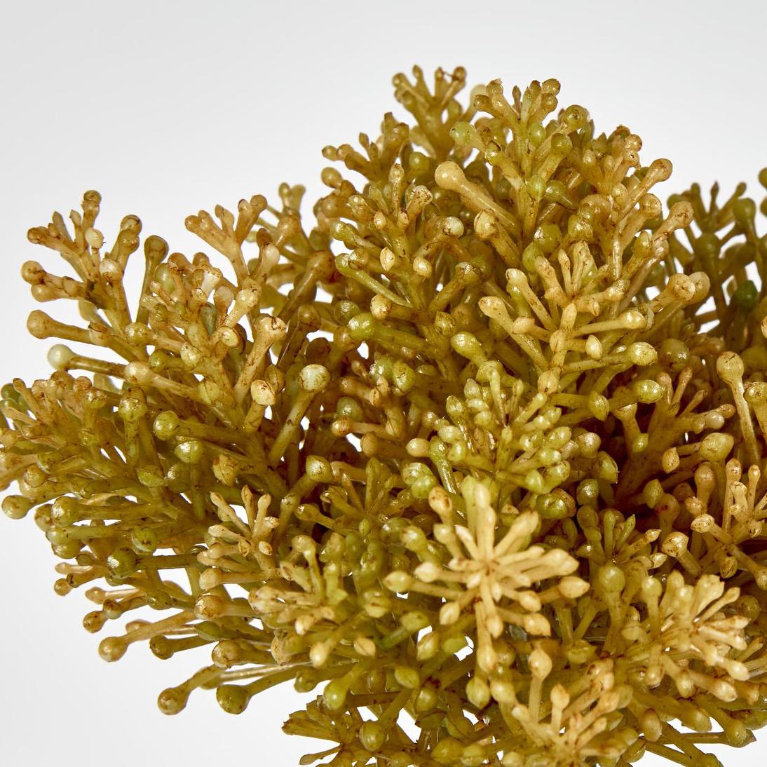 Pine Berry Bunch 20cm Green 4 pcs