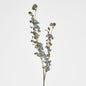Euphorbia Spray Blue 3 pcs
