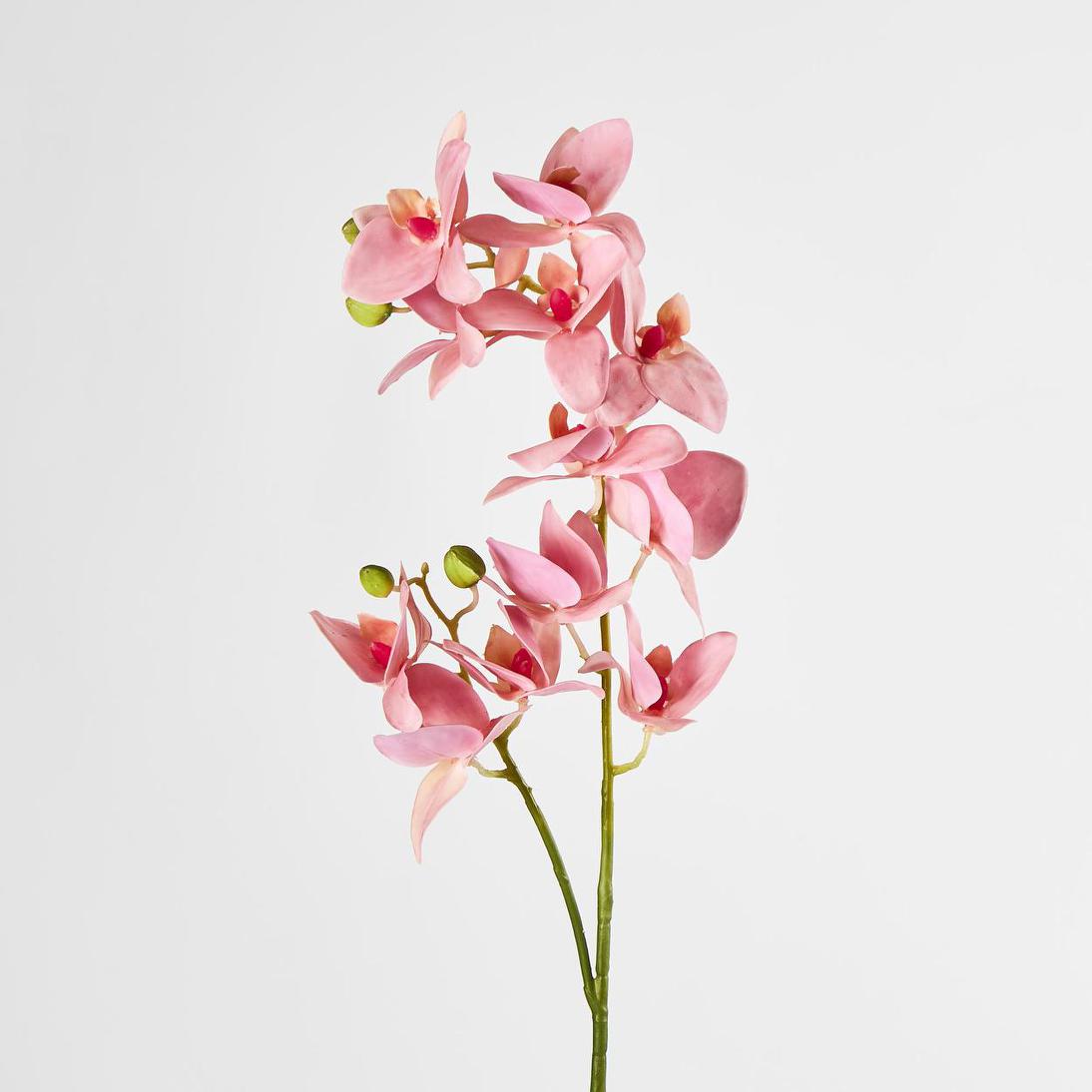 Phalaenopsis Orchid Spray Pink 3 pcs