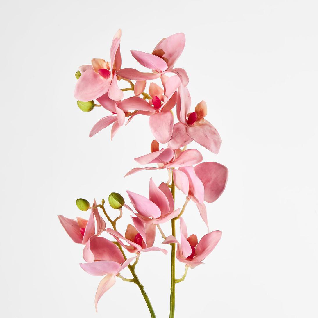 Phalaenopsis Orchid Spray Pink 3 pcs