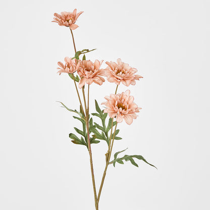 Daisy Spray White Pink 75cm 12 pcs