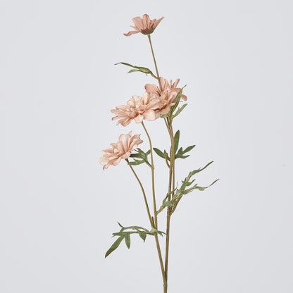 Daisy Spray White Pink 75cm 12 pcs