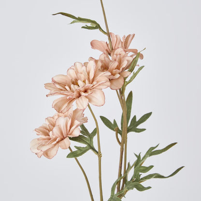 Daisy Spray White Pink 75cm 12 pcs