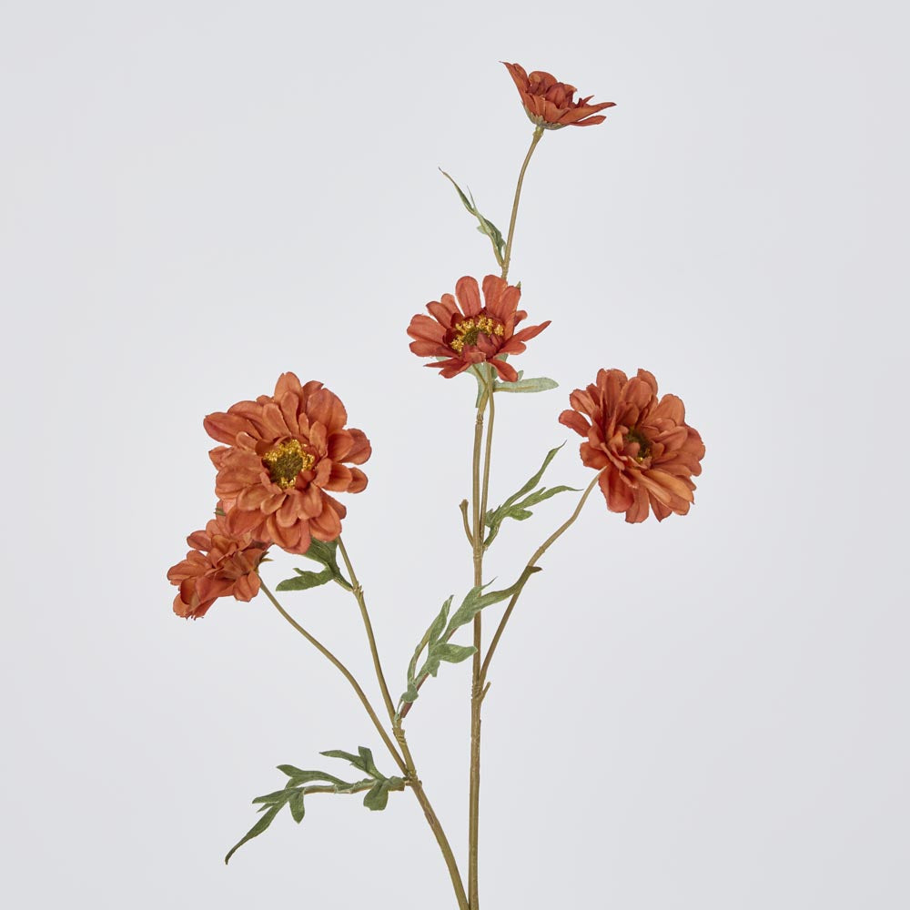Daisy Spray Brown 75cm 12 pcs