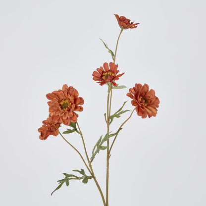 Daisy Spray Brown 75cm 12 pcs