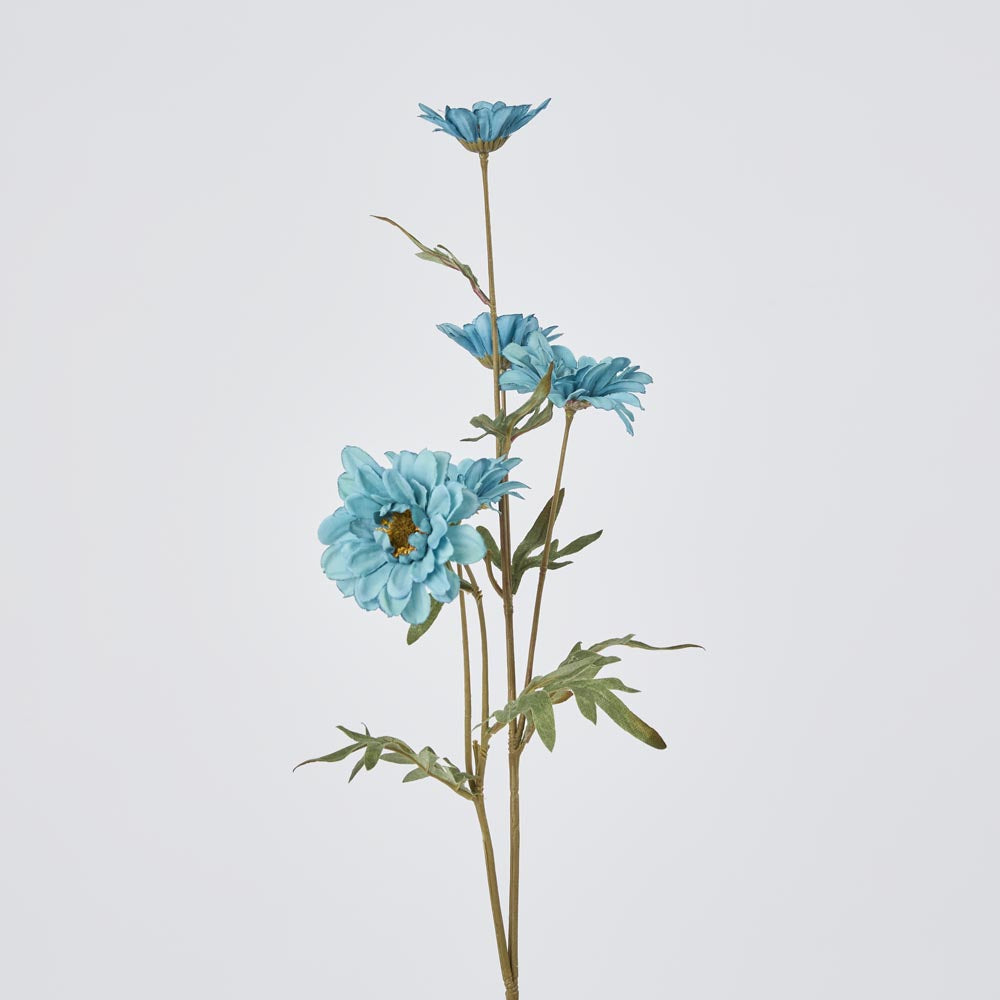 Daisy Spray Blue 75cm 12 pcs
