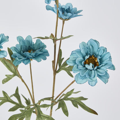 Daisy Spray Blue 75cm 12 pcs