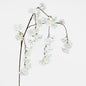 Trailing Cherry Blossom Stem White 6 pcs