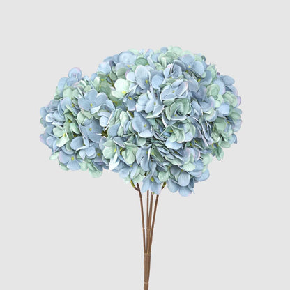 Hydrangea Bush Dark Blue 6 pcs