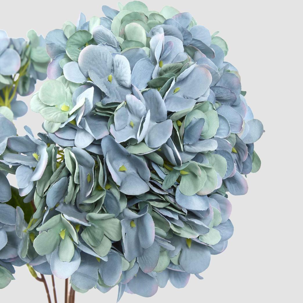 Hydrangea Bush Dark Blue 6 pcs