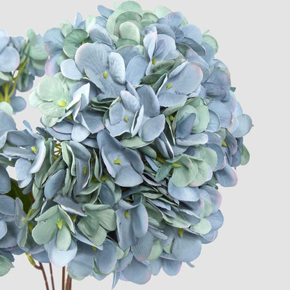 Hydrangea Bush Dark Blue 6 pcs