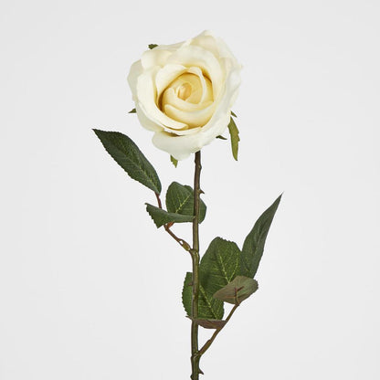 Long Stem Rose Pale Yellow 12 pcs