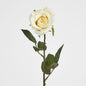 Long Stem Rose Pale Yellow 12 pcs