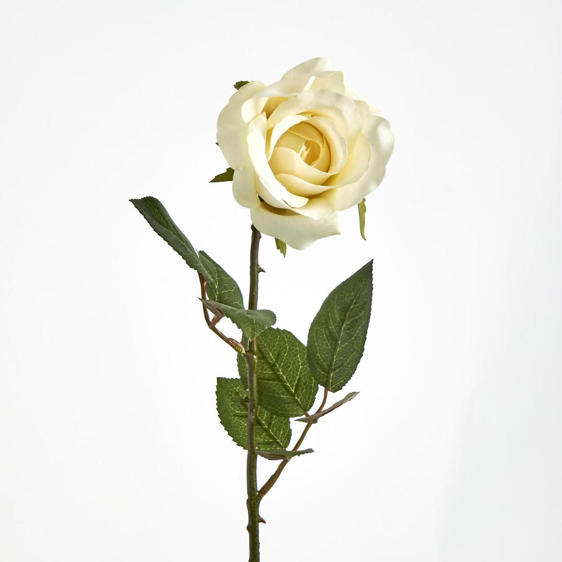 Long Stem Rose Pale Yellow 12 pcs