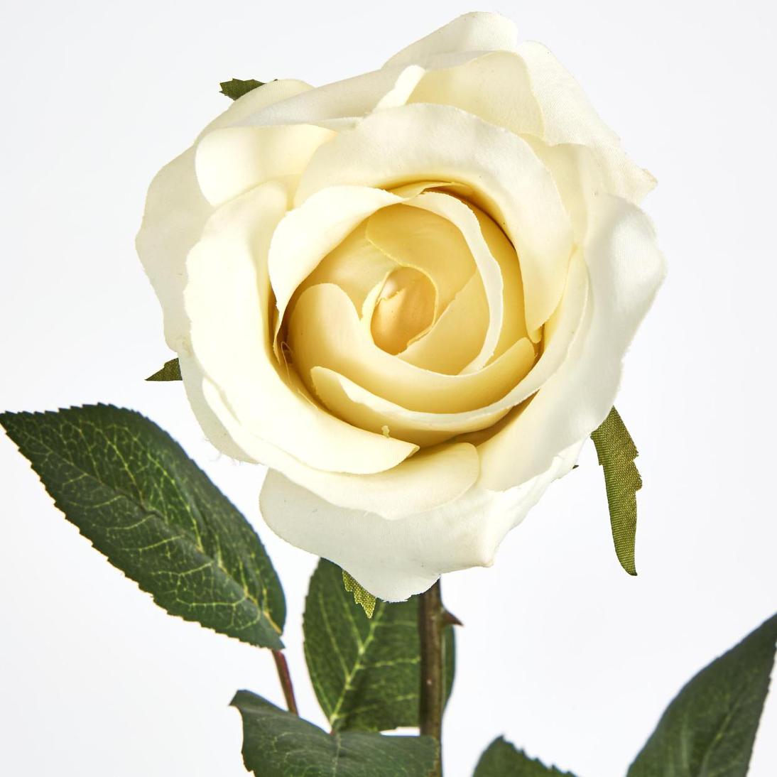 Long Stem Rose Pale Yellow 12 pcs