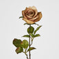 Long Stem Rose Cappuccino 12 pcs