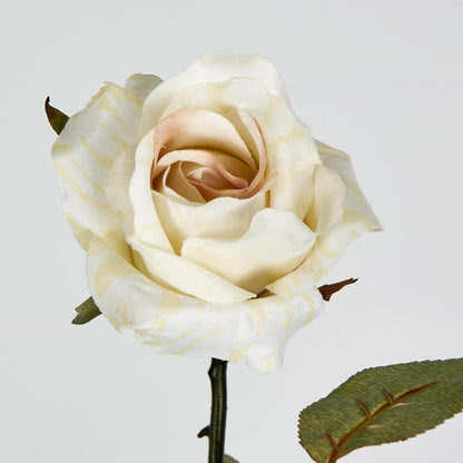 Long Stem Rose Cream 12 pcs