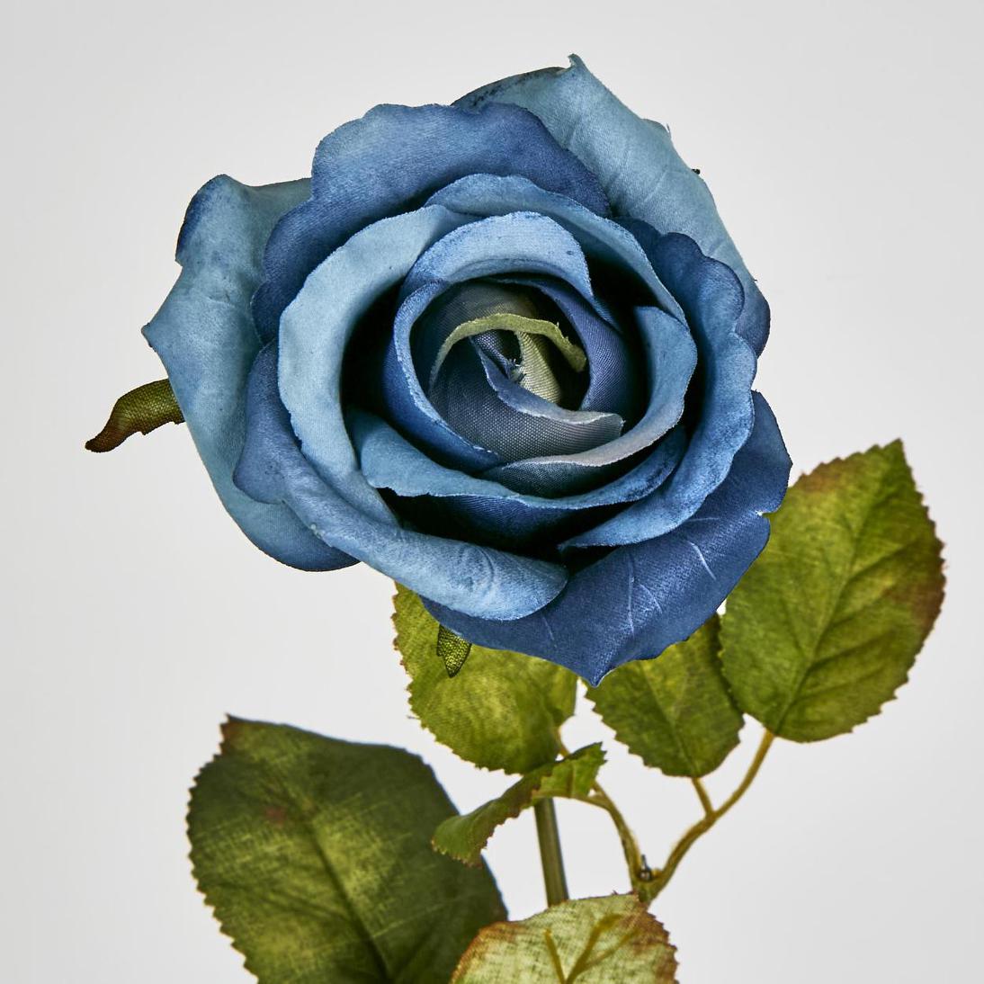 Long Stem Rose Blue 12 pcs
