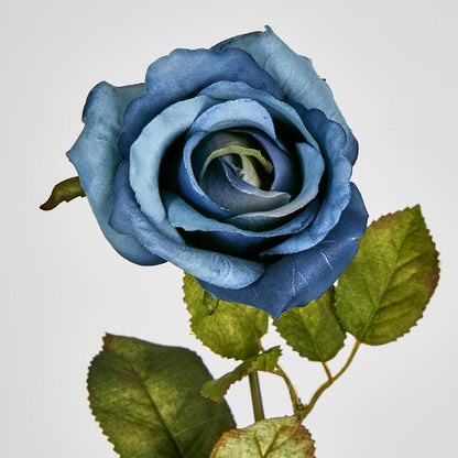 Long Stem Rose Blue 12 pcs