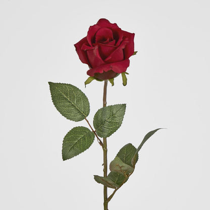 Long Stem Rose Red 12 pcs