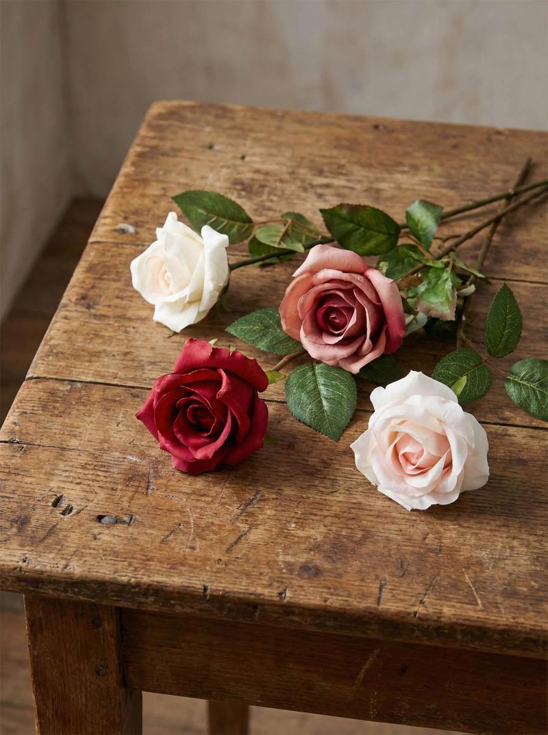 Long Stem Rose Red 12 pcs