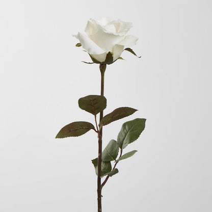 Long Stem Rose White 12 pcs